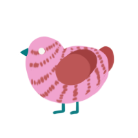 Funky, a pink and red chicken with a bar pattern