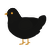 fire bringer, a black chicken with a head pattern