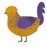 superb, a ochre and overcast chicken with a half-lace pattern