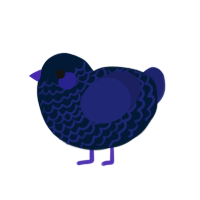 zz, a tumblr and navy chicken with a lace pattern