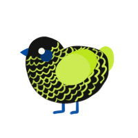 lightning, a black and lime chicken with a lace pattern
