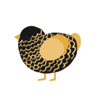 fools gold, a sable and honey chicken with a lace pattern