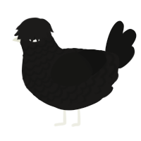 A sable and black chicken with a lace pattern