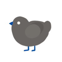 Slate, a grey chicken