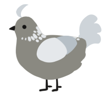 (unnamed), a ash and mist chicken with a neck-speckle pattern