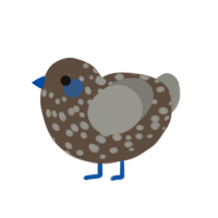 Whitman Turd, a bark and ash chicken with a speckle pattern