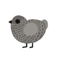 (unnamed), a grey and ash chicken with a lace pattern