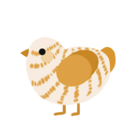 Creamsicle, a cream and orange chicken with a bar pattern