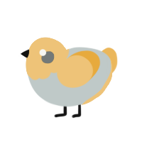 (unnamed), a silver and honey chicken with a head pattern