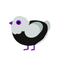 (unnamed), a black and silver chicken with a head pattern