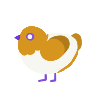 PB and J, a white and ochre chicken with a head pattern