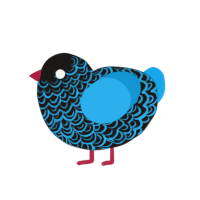 (unnamed), a sable and sky chicken with a double-lace pattern
