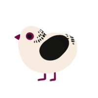 (unnamed), a cream and black chicken with a neck-band pattern