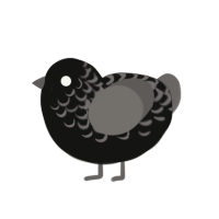 (unnamed), a black and grey chicken with a half-lace pattern