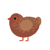 (unnamed), a russet and brown chicken with a half-lace pattern
