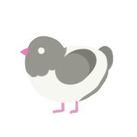 Pidgeon, a white and ash chicken with a head pattern