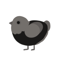 Pidgeon, a sable and grey chicken with a head pattern