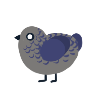 VIV Rusty, a grey and navy chicken with a half-lace pattern