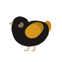 (unnamed), a sable and ochre chicken