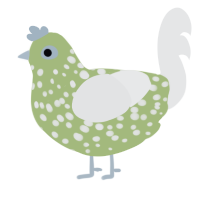 Why He Ourple, a overcast and sable chicken with a speckle pattern