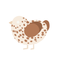 (unnamed), a cream and brown chicken with a speckle pattern