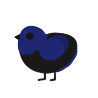 (unnamed), a sable and navy chicken with a head pattern
