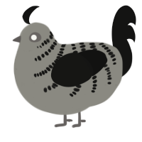 (unnamed), a ash and black chicken with a half-bar pattern