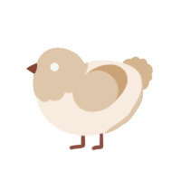(unnamed), a cream and beige chicken with a head pattern