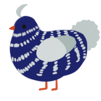 Cornbread, a navy and silver chicken with a bar pattern