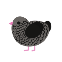 Mavis, a grey and black chicken with a lace pattern