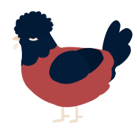 Shadow the HedgeHen, a red and tumblr chicken with a head pattern
