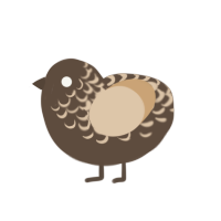 Toffee Brownie, a bark and beige chicken with a half-lace pattern