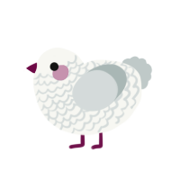 Marshmallow, a white and silver chicken with a lace pattern