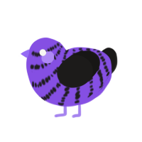 (unnamed), a blurple and sable chicken with a bar pattern