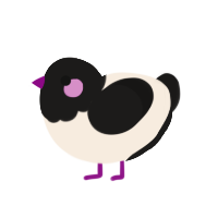 Project, a cream and sable chicken with a head pattern