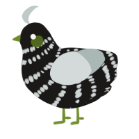 (unnamed), a sable and silver chicken with a bar pattern