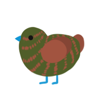 oh, a olive and russet chicken with a bar pattern