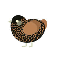Hot chocolate, a black and brown chicken with a lace pattern