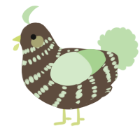 Mole D Nut, a bark and gluppy chicken with a bar pattern