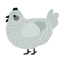 Silverbells, a silver chicken with a lace pattern