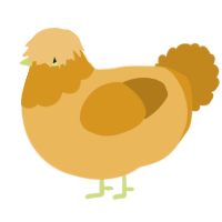 Mushy, a honey and ochre chicken with a head pattern
