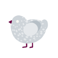mist xxy, a mist chicken with a speckle pattern