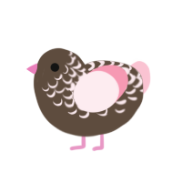 Sophie, a bark and rose chicken with a half-lace pattern