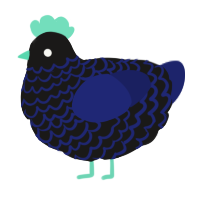 Heir, a sable and navy chicken with a lace pattern