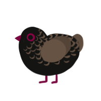 The Voices, a black and bark chicken with a half-lace pattern