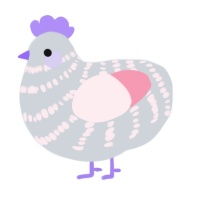 Meepo, a mist and rose chicken with a bar pattern
