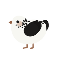 Cookies N Cream, a white and sable chicken with a neck-speckle pattern