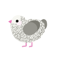 Ash, a white and ash chicken with a double-lace pattern