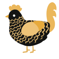 gilden one, a black and honey chicken with a lace pattern