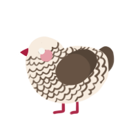 Barron, a cream and bark chicken with a lace pattern